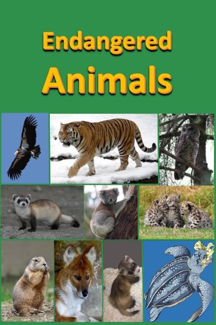 Endangered Animals