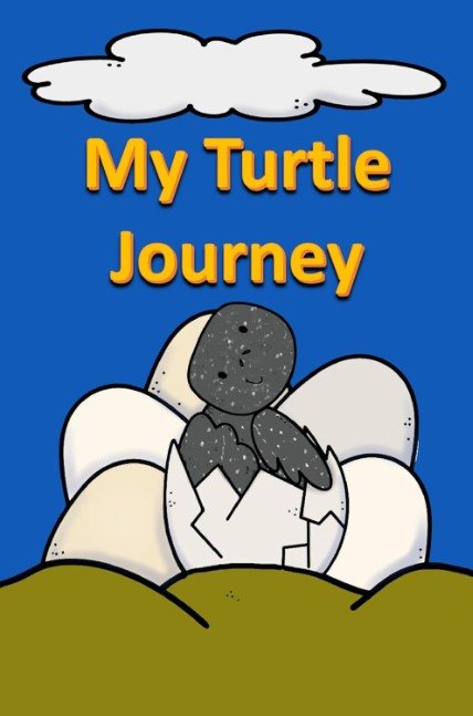 My Turtle Journey